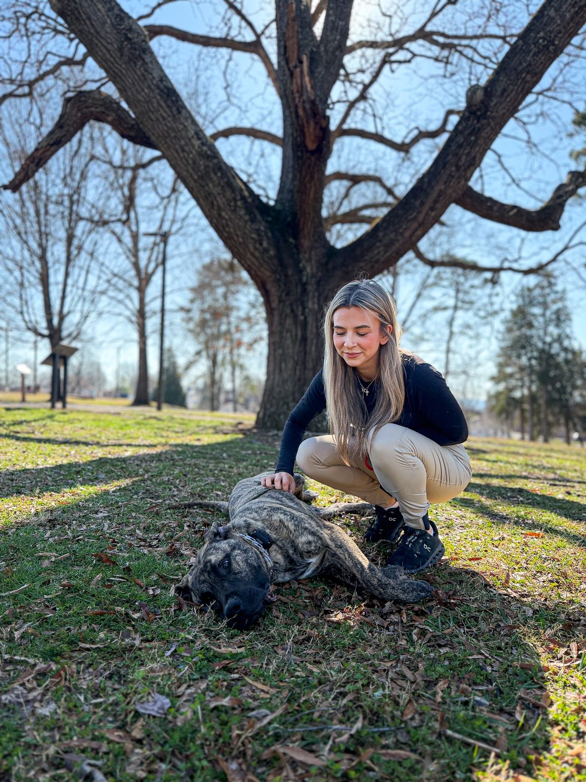A trainer crouches to pet a brindle dog lying in the shade of a large bare tree in a park