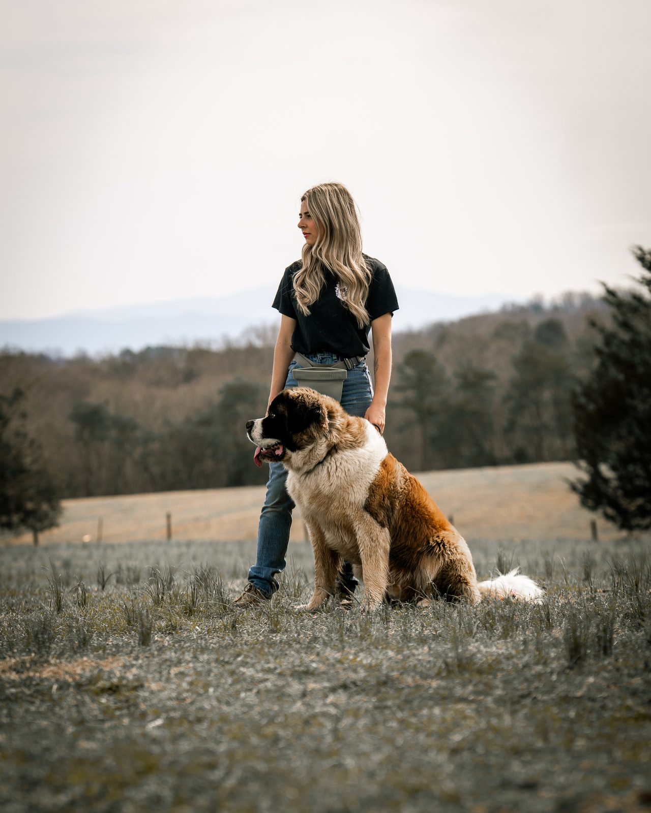 A woman standing in a field next to a seated Saint Bernard, looking off to the side
