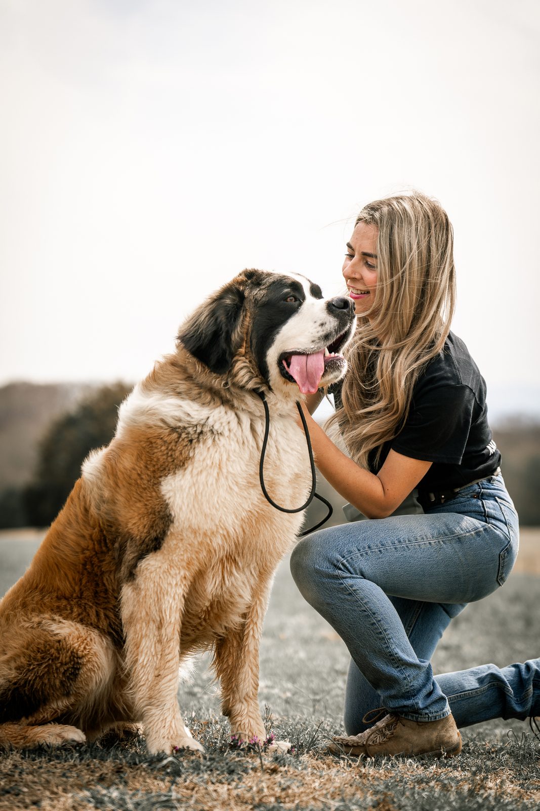 A woman kneeling nose to nose with a large Saint Bernard in a field