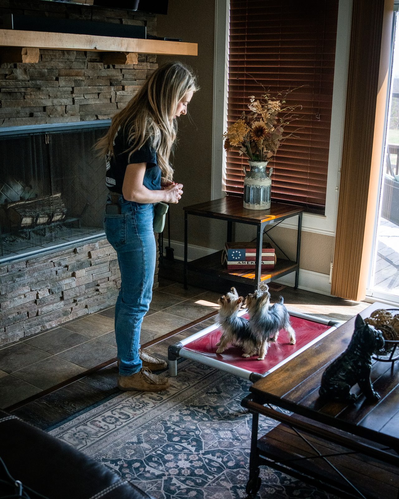 A trainer stands in a living room by a stone fireplace with two Yorkshire terriers on a raised cot